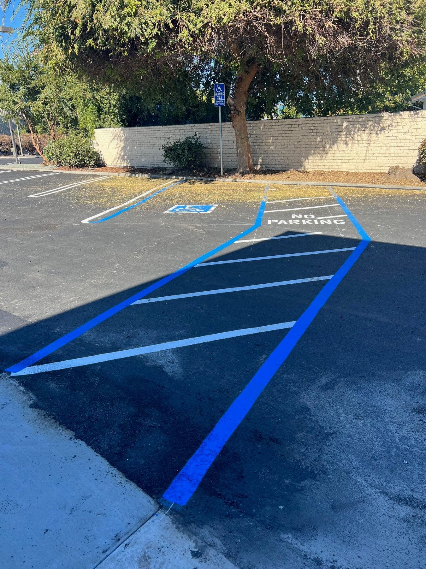Parking Lot Striping