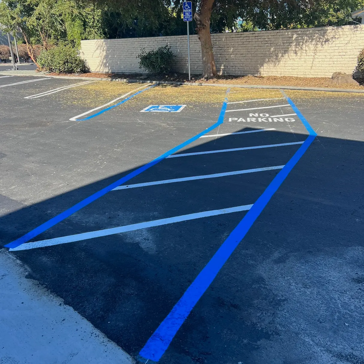 Parking Lot Striping - ADA Parking Compliance