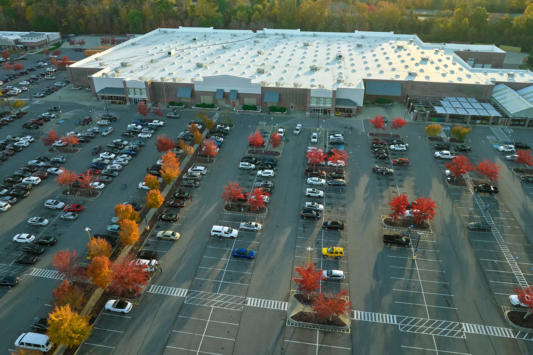 How to Hire a Commercial Asphalt Paving Contractor in San Jose: A Property Manager's Guide