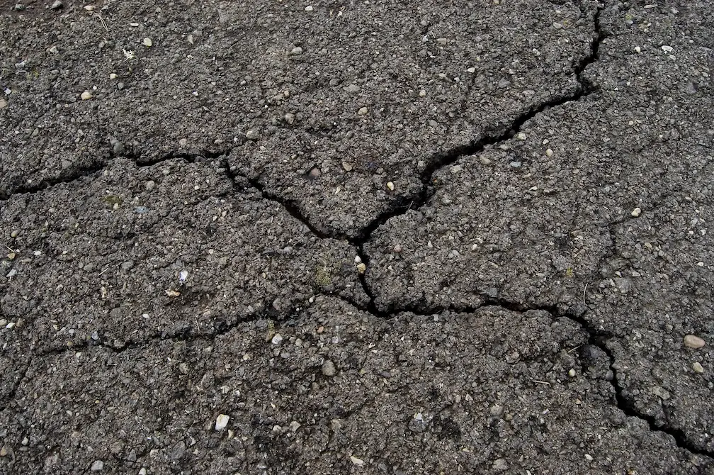 7 Signs You Need Commercial Parking Lot Repair